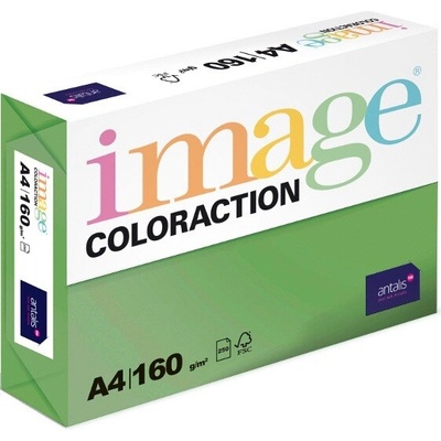 Image Coloraction barevný papír A4 160 g sytá zelená 250 listů