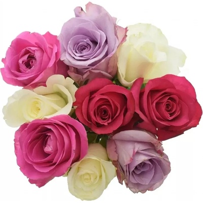 Kytice 9 míchaných růží PURPLE NAOMI 40 cm