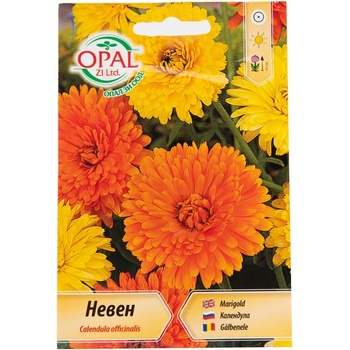 Image 1 of Opal Zi Медицински невен Calendula officinalis