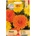 Opal Zi Медицински невен Calendula officinalis