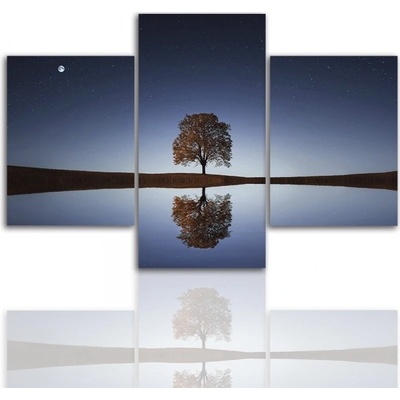 Divio Třídílný obraz na plátně strom, vzor 12277 Velikost: 120x180 cm