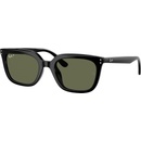 Ray-Ban RB4439D 901/9A