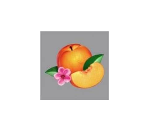 Phoenix - Bankrupt!