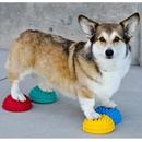 FitPaws balanční čočka - halfball