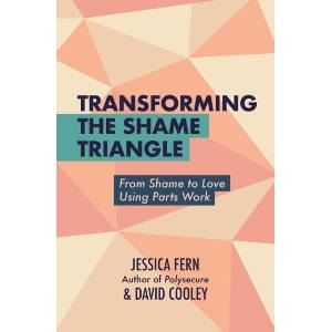 Transforming the Shame Triangle (ISBN: 9781990869709)