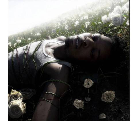 D4VD - WITHERED (1VINYL)