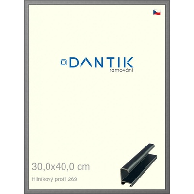 DANTIK rám na obraz 30 x 40 Platina matná