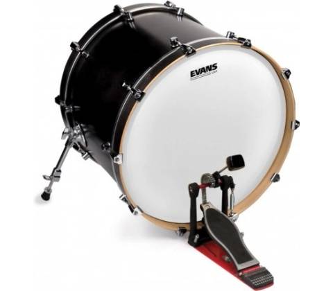 Evans BD22UV1
