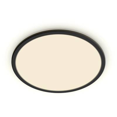 Philips Functional 8719514327283 таванско осветление LED (929002667901)