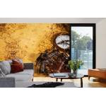 DIMEX ART Самозалепваща се флизелинова фототапета стара карта 375 x 250 см
