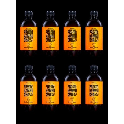 Prostě Kombucha BIO Yerba Mate s příchutí mango 8 x 400 ml