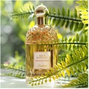 Guerlain Aqua Allegoria Orange Soleia EDT 75 ml