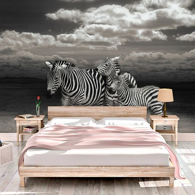 Sablio Tapeta Zebry, rozmery 336x220 cm