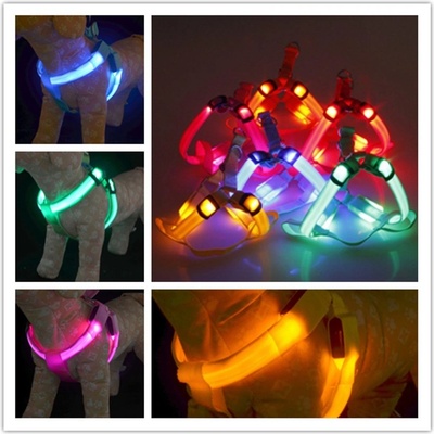 Reedog svíticí kšíry pro psy a kočky – Zboží Dáma