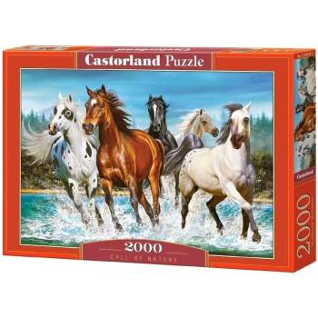 Castorland Call of Nature 2000 pcs Пъзел 2000 броя Животни (290188) (290188)