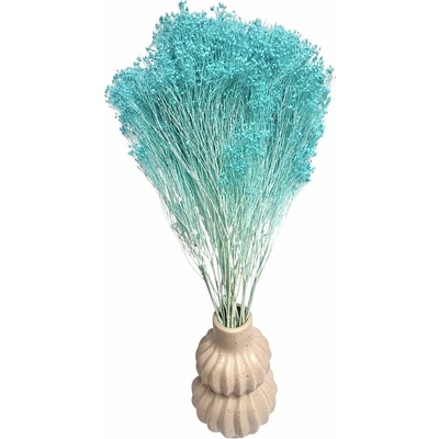 Sušený Broom Bloom azurový, kytice/svazek 100g