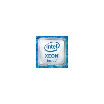 Intel Xeon W-1290TE CM8070104440205