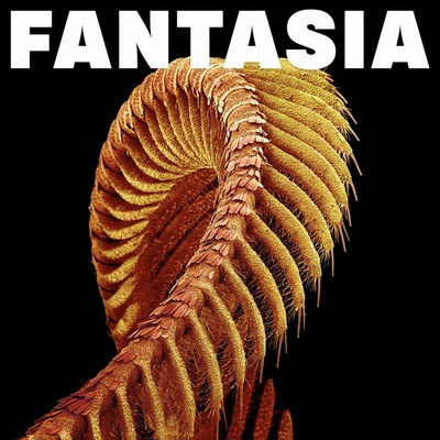 Slift - FANTASIA LP