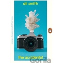 The Accidental - Ali Smith