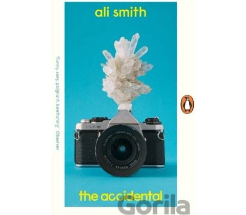 The Accidental - Ali Smith