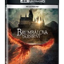 Fantastická zvířata: Brumbálova tajemství 4K BD