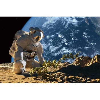 DIMEX ART s. r. o Флизелинов фототапет астронавт 375 x 250 см
