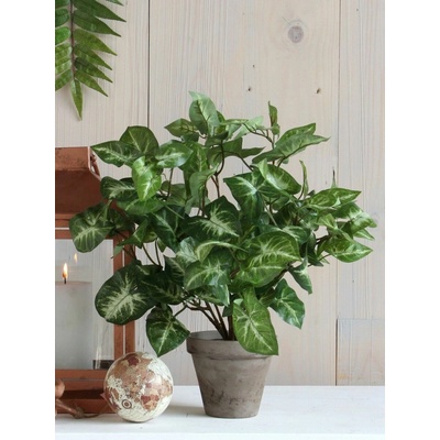 Umelá rastlina Syngonium, 35 cm 966057