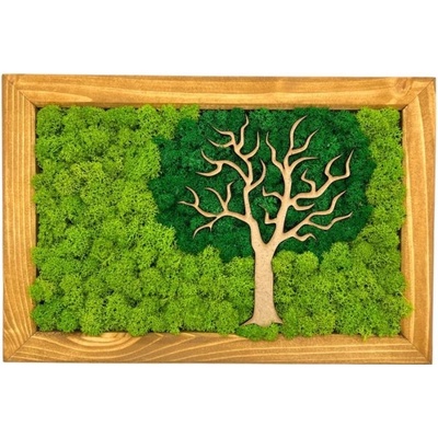 Machový obraz Tree 30x20cm II.