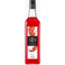 1883 Maison Routin Spritz sirup 1 l