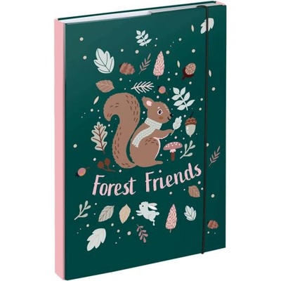 Baagl Папки за училищни тетрадки a4 Катерица