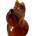 CONDOMERIE Презервативи condomerie - handpainted novelty condoms great danish dog