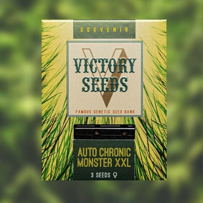 Victory Seeds Auto Chronic Monster XXL semienka neobsahujú THC 10 ks