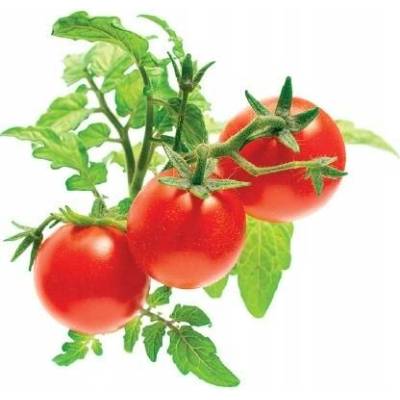 Mini rajčata Click and Grow kapsle se semínky a substrátem 3 ks