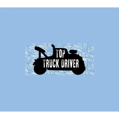 Top Truck Driver