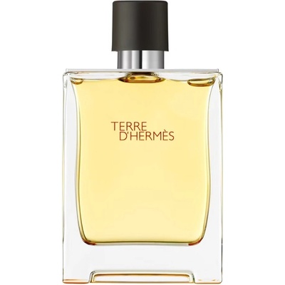 Hermes Terre D'Hermes Pure parfumovaná voda pánska 200 ml