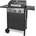 Fieldmann FZG 3003 (41010417)
