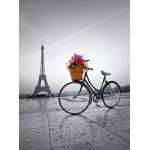 Clementoni - Puzzle Romantic Promenade in Paris - 500 piese