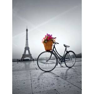 Clementoni - Puzzle Romantic Promenade in Paris - 500 piese