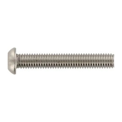 Bezpečnostní šroub, plochá hlava, M6x25 TX30 + PIN, nerez A2 – Sleviste.cz
