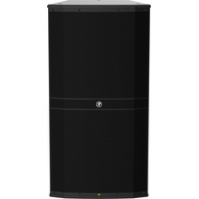 Mackie DRM315