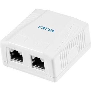 LogiLink РОЗЕТКА STP, Cat. 6A за Стена, Двойна, NP0097