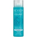 Revlon Equave Hydro Detangling Shampoo 250 ml