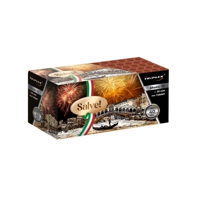 Triplex Baterie 35 ran 1" F2 SALVE! Baterie 35 ran TXB587