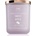 DW HOME Signature Sweet Apple ароматна свещ 445 гр