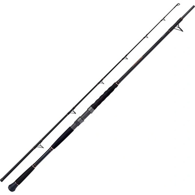 Shimano Beastmaster AX Catfish Spinning Lure 2,2 m 120 g 2 díly