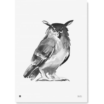 Teemu Järvi Plakát s motivem sovy Eagle Owl 50x70
