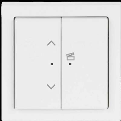 Busch-Jaeger 2CKA006200A0284