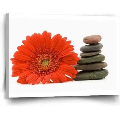 Sablio Obraz Gerbera s kameňmi - 90x60 cm