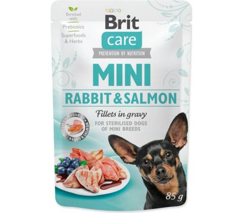 Brit Care Mini Rabbit & Salmon 85 g