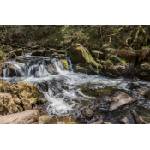 DIMEX ART Флизелинов фототапет корнуол, англия 375 x 250 см